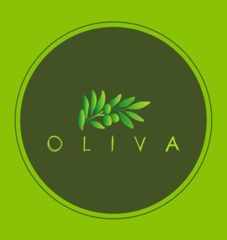 Villa Oliva Makarska Zewnętrze zdjęcie